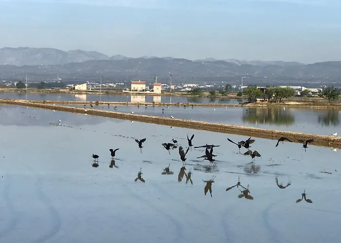 Cling 43 Hotel Deltebre